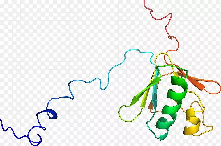 线点生物剪贴画线