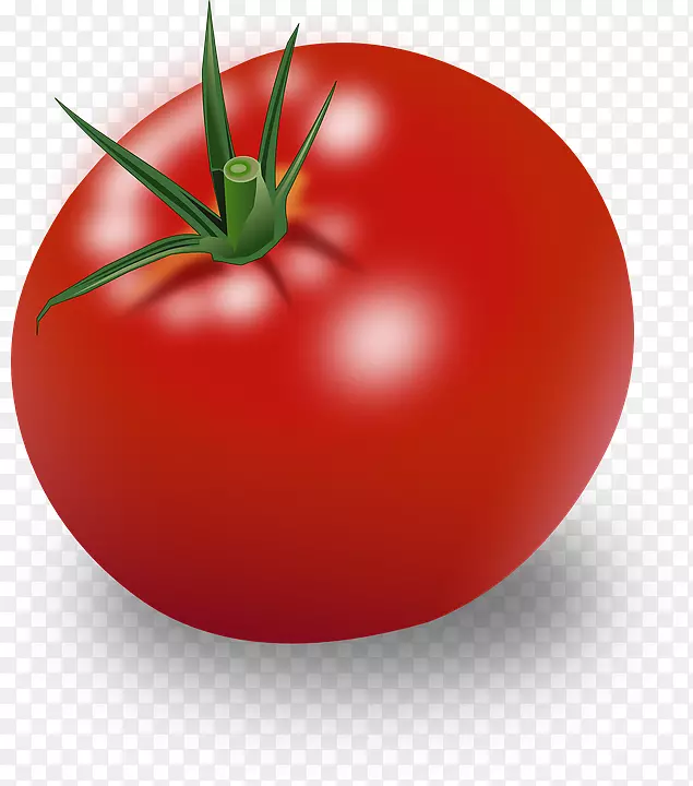 汉堡樱桃番茄蔬菜剪贴画-蔬菜