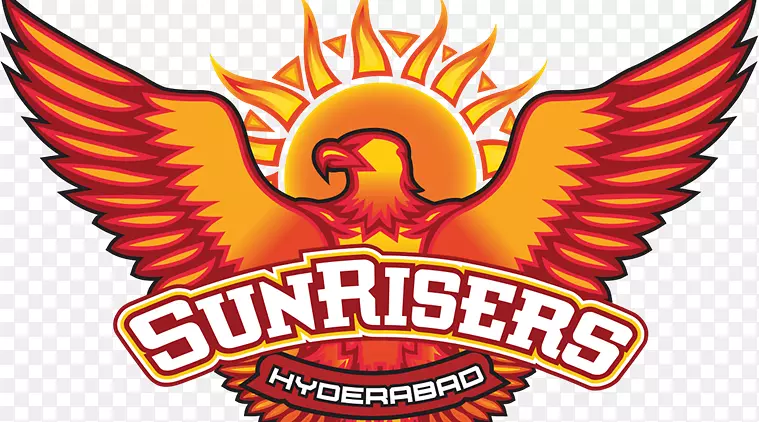 2018年印度超级联赛太阳神海得拉巴拉贾斯坦邦皇室2013印度超级联赛加尔各答骑士-板球