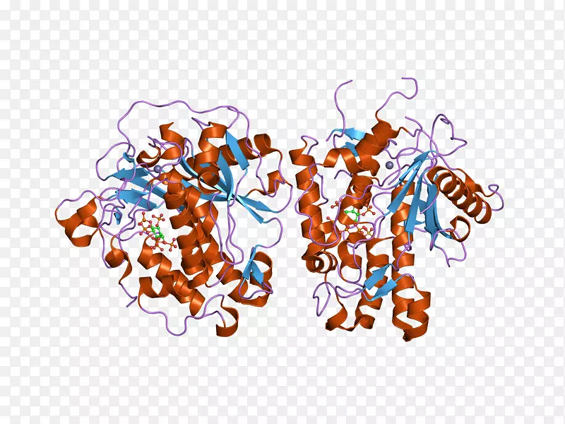 adarb 1前体mRNA RNA编辑遗传密码