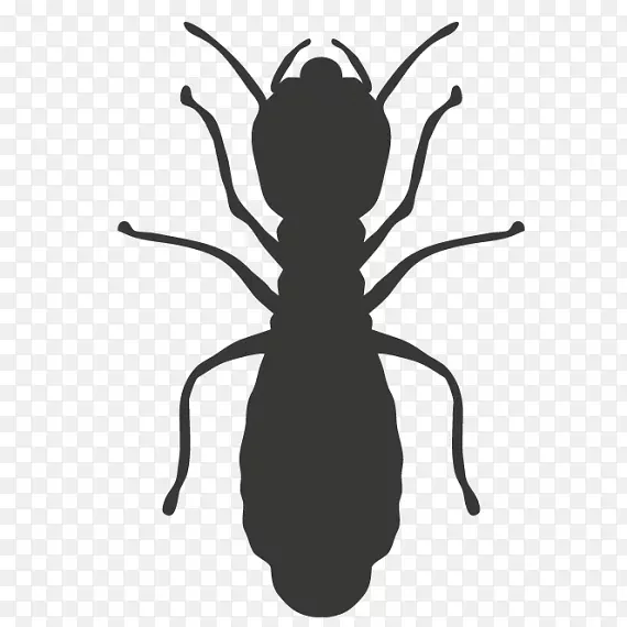 蟑螂蚊虫防治白蚁蟑螂