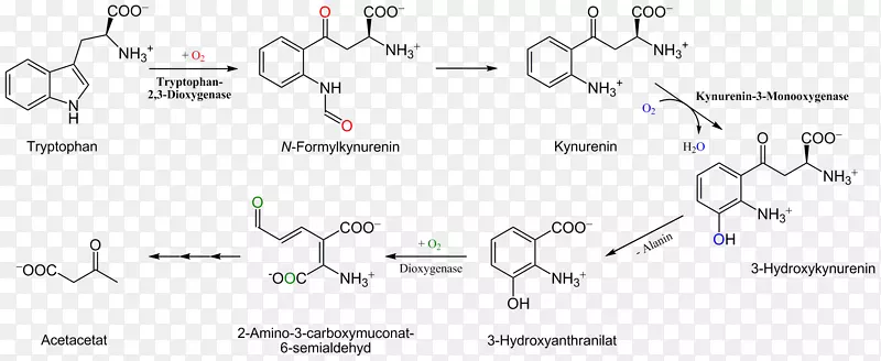 Nujol分子化学、化学公式、取代基