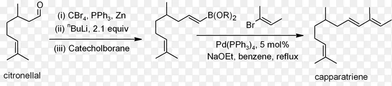 烯烃铃木反应化学合成全合成化学反应-其它反应