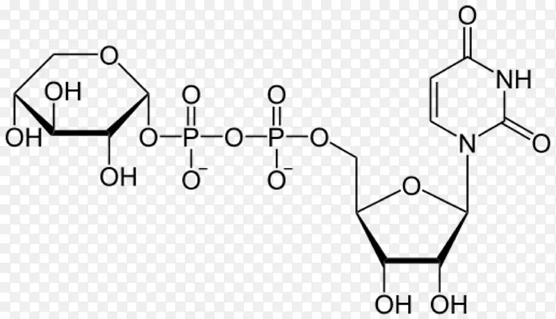 尿苷三磷酸尿苷二磷酸葡萄糖三磷酸腺苷