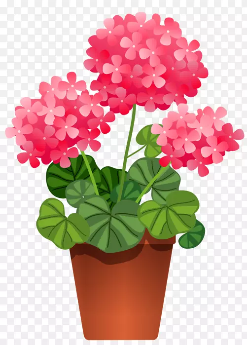 花盆室内植物剪贴画-植物