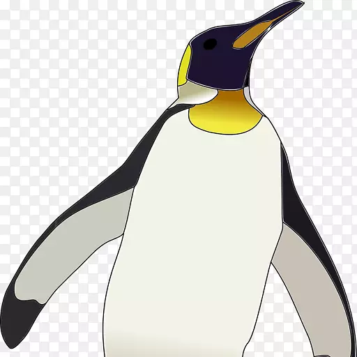 南极帝企鹅鸟企鹅王企鹅