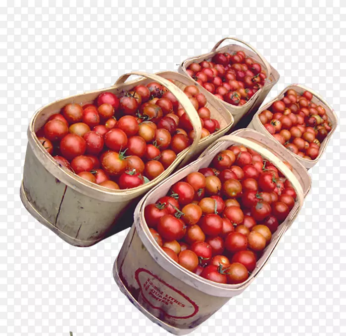 番茄蔓越莓沙拉作物产量蔬菜-番茄
