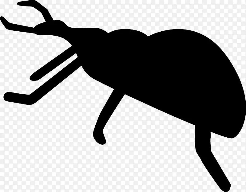 甲虫轮廓画夹艺术-甲虫