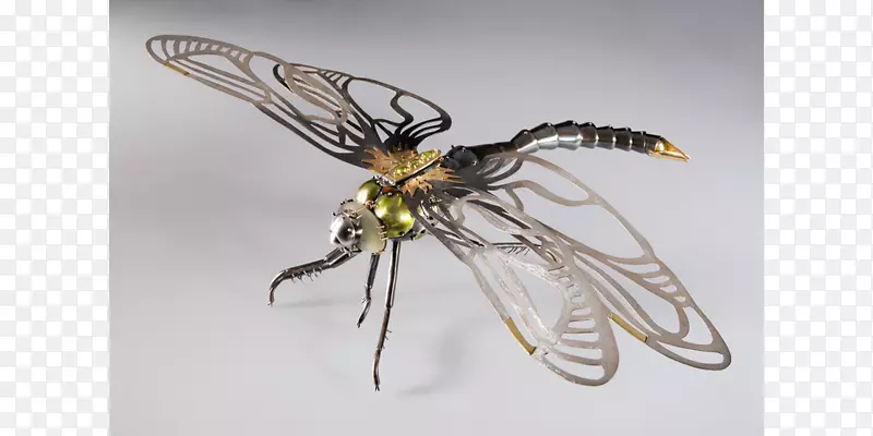 昆虫艺术新雕塑艺术家-昆虫