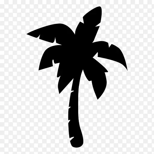槟榔科椰子树-椰子
