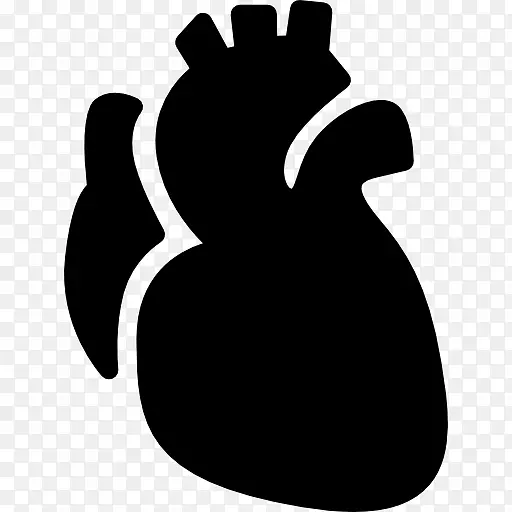 心脏解剖计算机图标-心脏