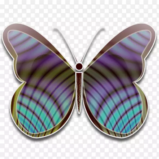蝴蝶电脑图标-蝴蝶