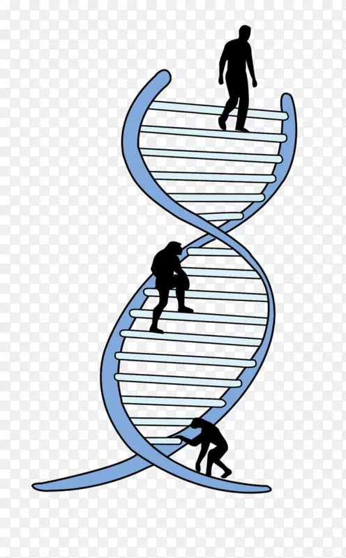 遗传学基因工程生物学-科学