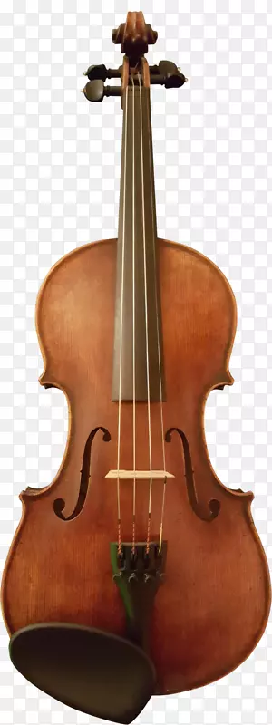 电子大提琴小提琴中提琴低音小提琴