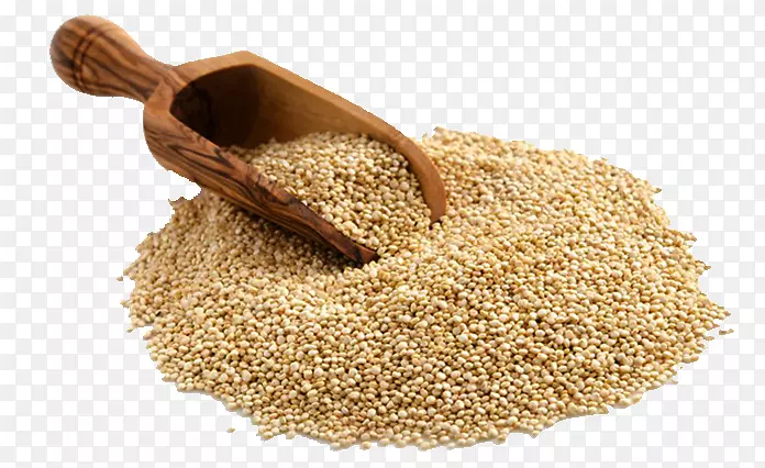 藜麦芽全麦食品
