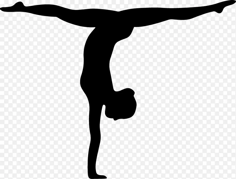 艺术体操身体健康轮廓标志-体操