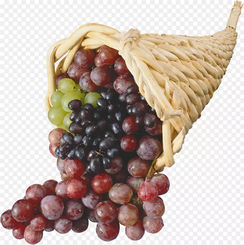葡萄籽提取液，葡萄酒，果皮，葡萄