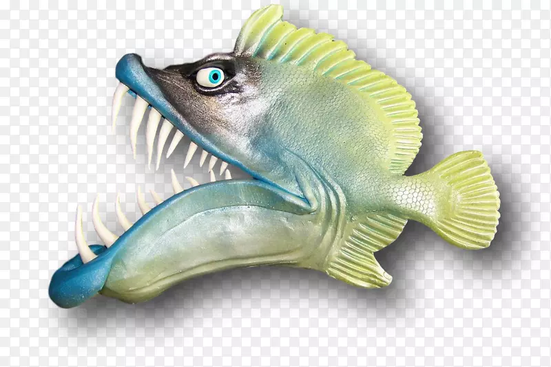 海洋生物鱼类-鱼类
