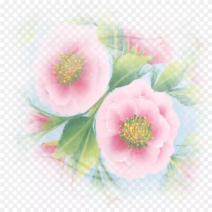 水彩画花卉设计-花卉