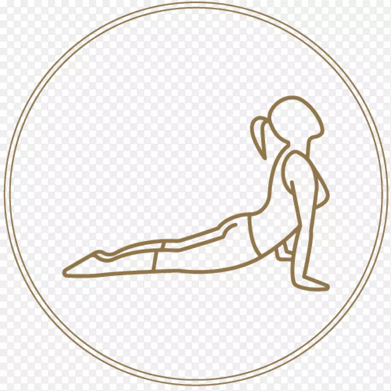 斯托特普拉提锻炼瑜伽身体健康瑜伽