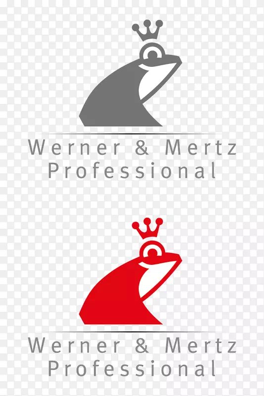标题：Hallein Werner&Mertz Polska sp.零度。组织