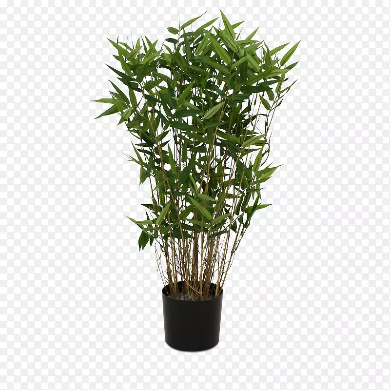 幸运竹塑料花盆植物-竹子