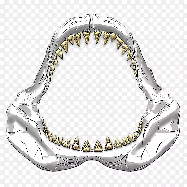 鲨鱼嘴大白鲨饥饿鲨鱼进化牙齿鲨