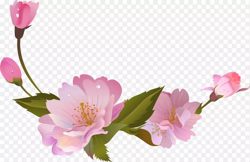花卉设计，切花，春花，蔷薇科-樱花