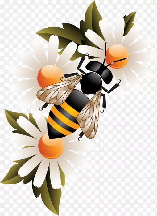 工蜂蜜蜂蜂巢蜜蜂