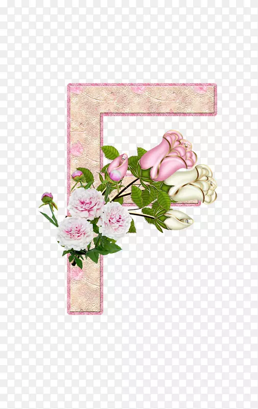花园玫瑰字母花卉字母表-花