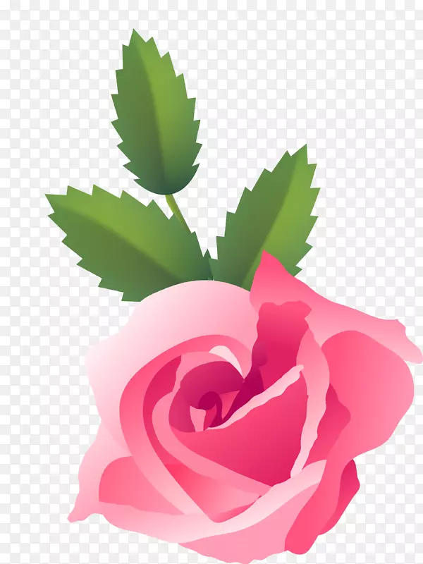 花园玫瑰，蜈蚣玫瑰，还有生命：粉红色的玫瑰，狗-玫瑰，花-花。