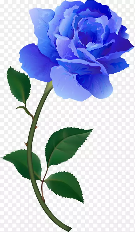 花园玫瑰，蓝色玫瑰，黄色蜈蚣，玫瑰剪贴画