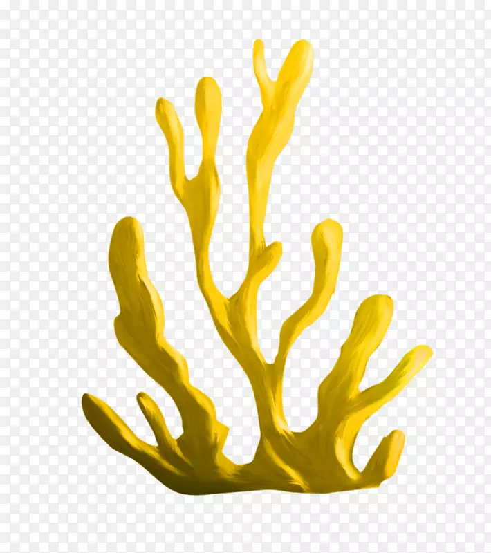 海藻珊瑚下载剪贴画