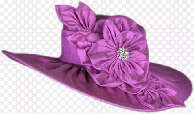草帽紫罗兰紫帽