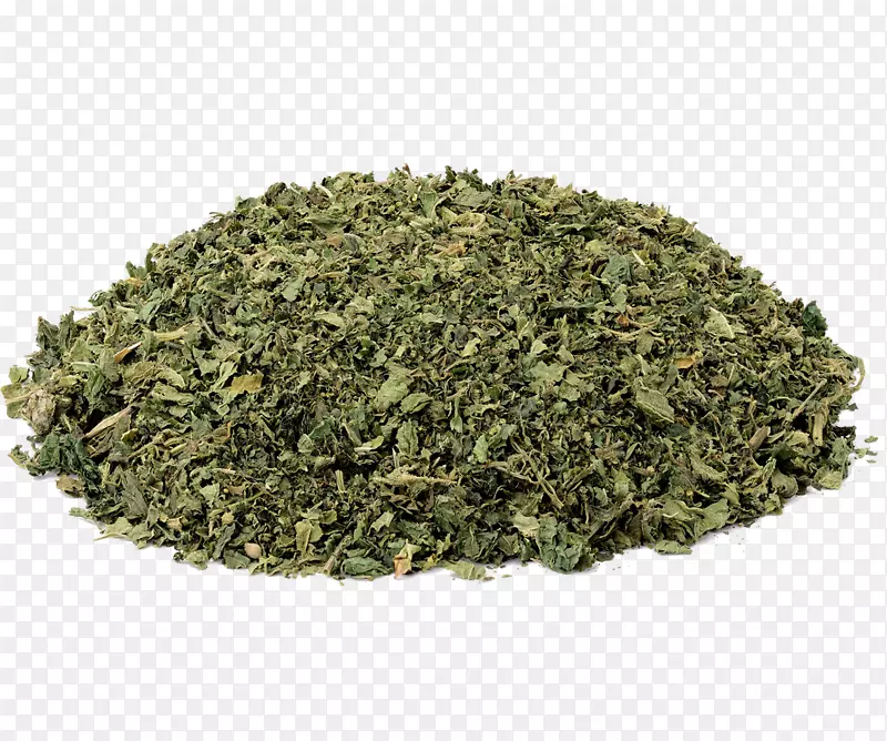 绿茶食品干燥中草药薄荷茶