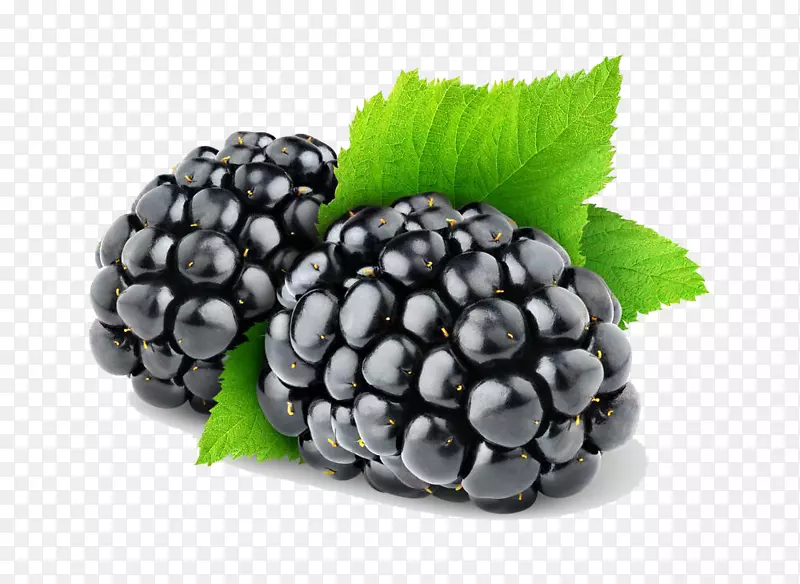 黑莓水果-黑莓