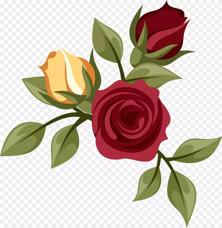 花园玫瑰，蜈蚣玫瑰，画花