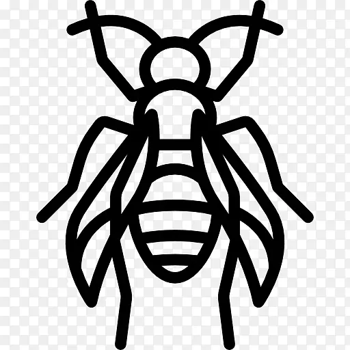 蜜蜂虫刺夹艺术-蜜蜂