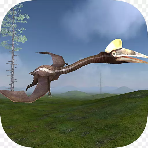 翼龙飞行模拟器3D瓶射击游戏终极丛林模拟器终极稀树模拟器-android