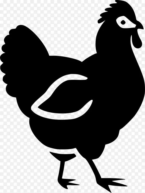公鸡、家禽养殖、农业-鸡