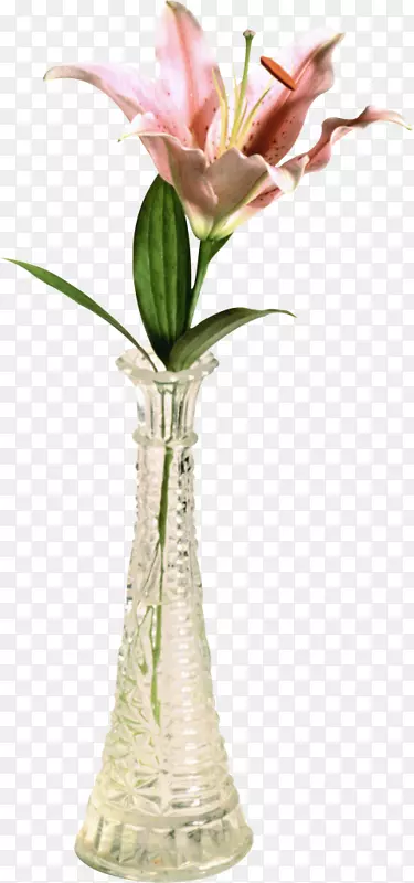 花卉设计花瓶切花百合花瓶