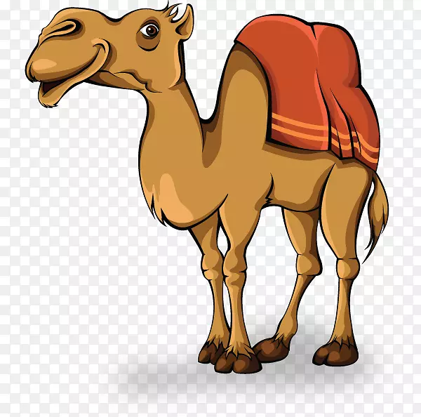 骆驼动画剪贴画-骆驼