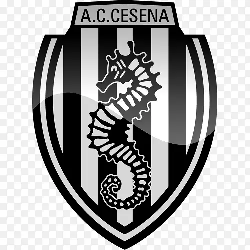 A.C.塞塞纳-19岁以下的威尼斯俱乐部布雷西亚钙化足球-足球
