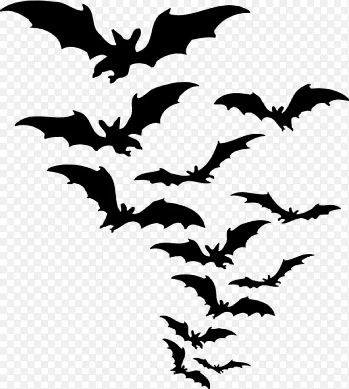 蝙蝠剪贴画-蝙蝠