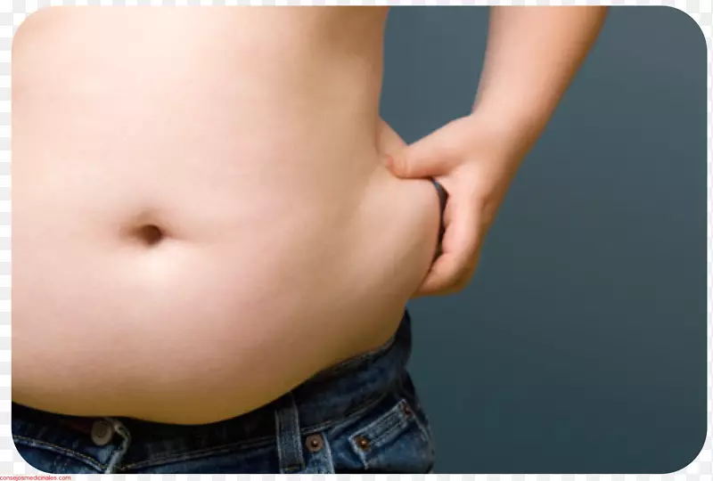 腹部肥胖腹部脂肪组织脂肪健康