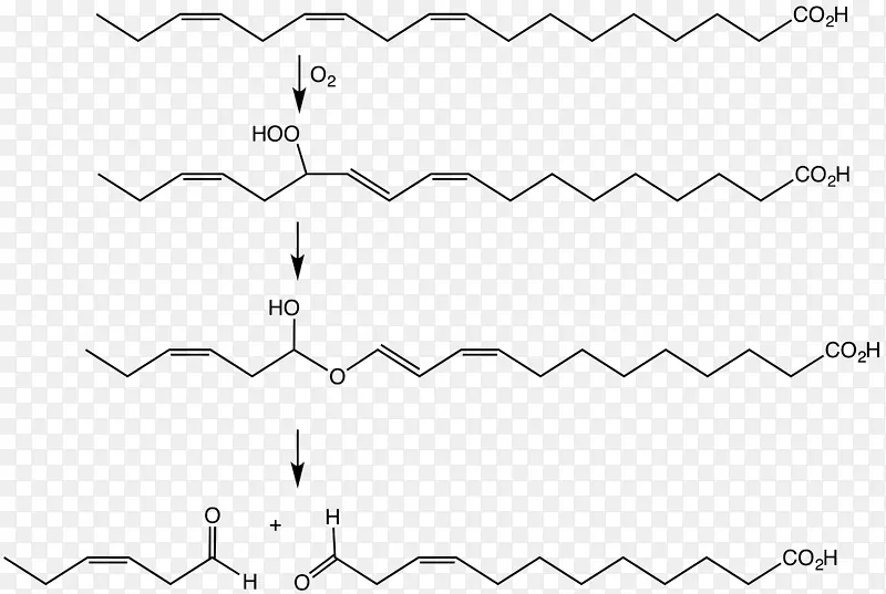 有机过氧化物，过氧化氢，有机化合物，亚油酸