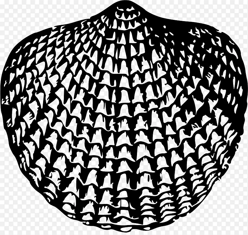 世界海洋贝壳地球剪贴画-贝壳