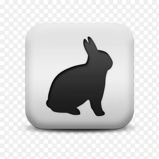 复活节兔子宠物兔狗雪貂-兔子