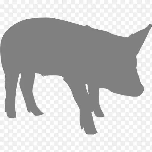 猪的剪影红狐夹艺术-猪