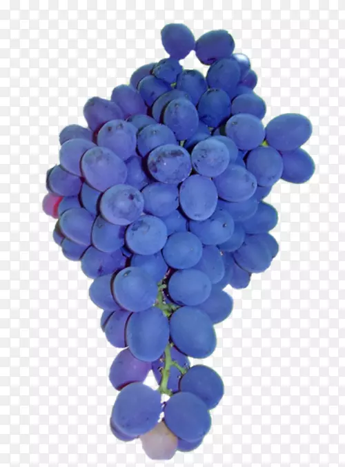 葡萄籽提取物-葡萄
